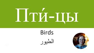 New Words in Russian 22  Новые слова на русском языке  BIRDS  ПТИЦЫ [upl. by Lemrej]