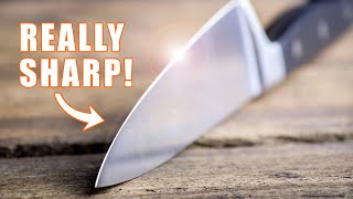 How to Sharpen a Pocket Knife  The Spyderco Sharpmaker [upl. by Cutter]