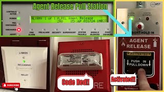 Agent Release Pull Station Fire Alarm System Test 1 [upl. by Aket]