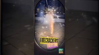 Jerry’s reaction to Fireworks Funny reactions shorts funny [upl. by Eugine225]