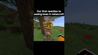 Our first reaction to seeing bees in Minecraft minecraftmeme [upl. by Peedus]