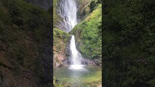 Nyungwe National park  Visit Rwanda 🇷🇼 waterfall 💦 vistrwanda [upl. by Marigolda]