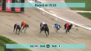 Monmore Greyhounds Races on 19th March 2024 [upl. by Parette786]