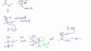 Ester Hydrolysis Acidic and Basic Conditions [upl. by Orwin]