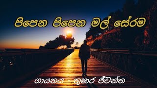 පිපෙන පිපෙන මල් සේරම Thusara jeewantha pipena pipena mal serama sinhala song with lyrics [upl. by Akire]