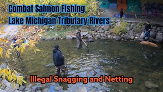 Combat Salmon Fishing Lake Michigan Tributary Rivers  Illegal Snagging and Netting  DNR Contacted [upl. by Denver116]