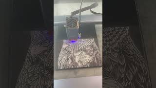 Engraving on Canvas with the Xtool Laser A StepbyStep Guide [upl. by Eulalie]