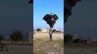 World Biggest Bat Kite Experiment 🦇 kite patang shorts [upl. by Drusie305]