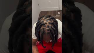 ✨ Freeform Locs Two Strand Twist ✨ locs creatorsearchinsights [upl. by Nylorak818]