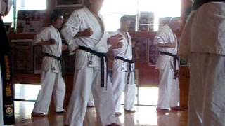 Shidokan karate teachings 3 [upl. by Stone]