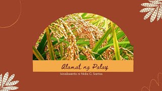 Alamat ng Palay  Edukasyon sa Pagpapakatao 4 Quarter 3 Week 1 [upl. by Alledi]