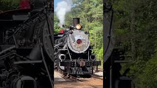 Whistlin’ Thru The Pines train steamengine texas 1917 [upl. by Dolli]