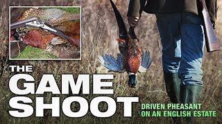 The Game Shoot Driven Pheasant on an English Estate [upl. by Aliehc]