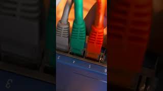 FIX WiFi is connected but no internet access on PC Network Cable 8 [upl. by Hadik336]