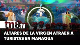 Familias recorren altares de la Virgen en la Avenida Bolívar a Chávez Managua  Nicaragua [upl. by Ilario]