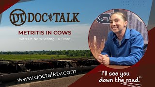 DocTalk Ep 359  Metritis in Cows with Dr Nora Schrag [upl. by Novelia]