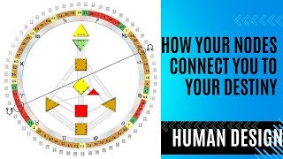 How Your Nodes in Human Design Connect You to Your Life Purpose [upl. by Seidel]