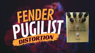 The Fender Pugilist Distortion A Versatile and Fiery Pedal for Any Rig [upl. by Tihw]