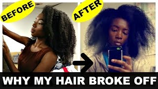 My 4bc Natural Hair Setback amp Recovery  Pics [upl. by Anatsirhc]