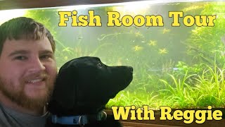 Fish Room Tour with Reggie [upl. by Candis688]