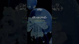 alkareem duet alquran beautifulrecitaion [upl. by Gelb]