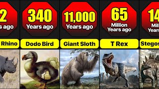 When Did Different Animals Gone Extinct  Time Periods Of Extinction Of Different Extinct Animals [upl. by Violeta422]