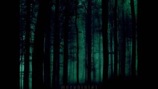 Morphinist  The Pessimist Session Full Album [upl. by Aranaj]