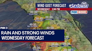 Tampa weather Tracking Hurricane Milton [upl. by Eilyac724]