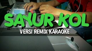 SAYUR KOL  REMIX  KARAOKE  Cover [upl. by Enylecoj]