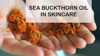 Sea Buckthorn Oil Benefits for Skin  Sea Buckthorn Oil in Skincare [upl. by Nosredneh]