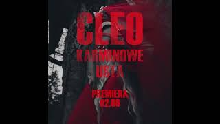 quotKarminowe Ustaquot już na YouTube Cleo KarminoweUsta Premiera Shorts [upl. by Sueaddaht]