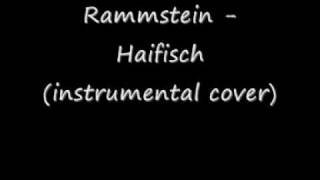 Rammstein  Haifisch instrumental cover [upl. by Ronnholm763]