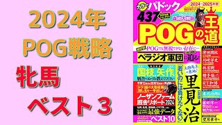 【POG】ドラフト直前情報「牝馬のベスト3」大発表！【POGの王道】 [upl. by Nesyrb427]