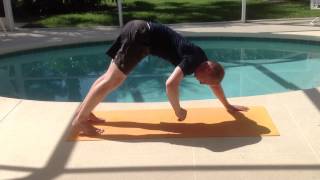 Dirty Dogs Bodyweight Exercise The Best Abs Exercise You Havent Tried Yet [upl. by Ahsiemak881]