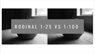 Rodinal 125 vs 1100 [upl. by Fafa222]