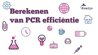 Berekenen van PCR efficiëntie [upl. by Eurd]