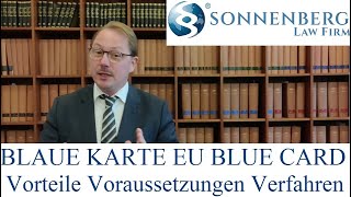 Blaue Karte EU Blue Card Voraussetzungen Verfahren Vorteile English Subtitles [upl. by Ennovart684]