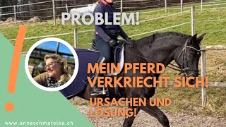 Mein Pferd verkriecht sich  Ursachen und die Lösung pferdegesundheit pferdetraining [upl. by Zohara]