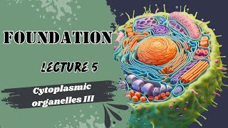 Cytoplasmic Organelles 3 [upl. by Yates]