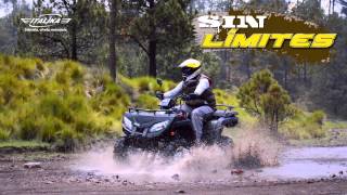 ITALIKA ATV250 CON REVERSA [upl. by Farrington]