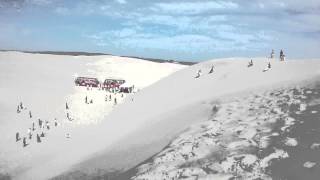 Sandboarding near Port Stephens [upl. by Esdras]