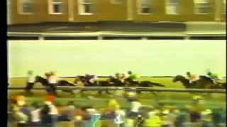 107th Preakness Stakes  May 15 1982 [upl. by Laynad782]