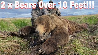 S20Ep6 SelfGuided 2 Monster Alaskan Brown Bears Over 10 Feet [upl. by Ahseyn]