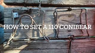 How To Set A 110 Conibear [upl. by Onihc]