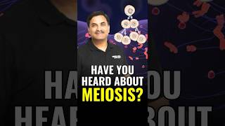 Have you heard about Meiosis neetbiology neetpreparation meiosis shorts [upl. by Codd]