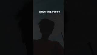 Srotoshini Lyrics Lofi 🖤🦋  ENCORE  Lyrics  স্রোতস্বিনী ✨ fypシ lyrics music hitsong [upl. by Yrahk]