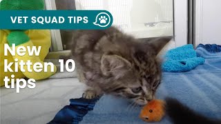 New kitten 10 things you NEED to know  PET CIRCLE [upl. by Nevsa]