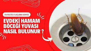 Evdeki Hamam Böceği Yuvası Nasıl Bulunur   ilaclamacomtr [upl. by Llehcim]