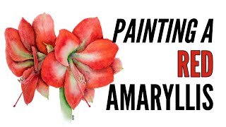 How To Paint An Amaryllis With Inktense in Red [upl. by Rella]