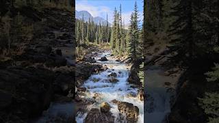 Just the start of the beautiful views in Yoho National Park nature hiking shorts [upl. by Ecnahoy]